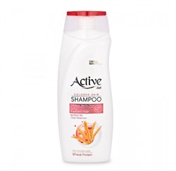 ACTIVE ИРАН / Шампунь для окрашенных волос CARE & BEAUTY. С кератином и пшеничным протеином, 350 мл  ББ01310 - фото 16000