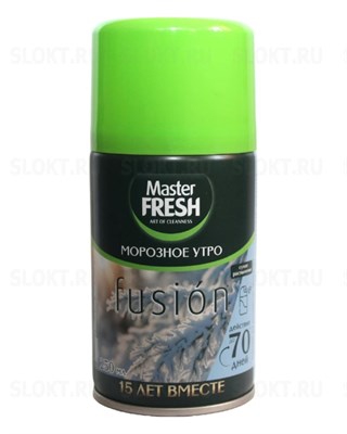 Master FRESH Освежитель воздуха сменный баллон Морозное утро 250 мл С0008103 - фото 17490